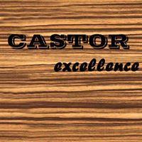 CASTOR EXCELLENCE - ΚΑΚΑΛΙΑΣ ΝΙΚΟΛΑΟΣ