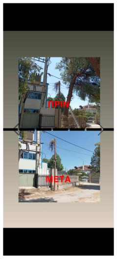 ΜΠΙΣΤΑΣ ΓΙΑΝΝΗΣ