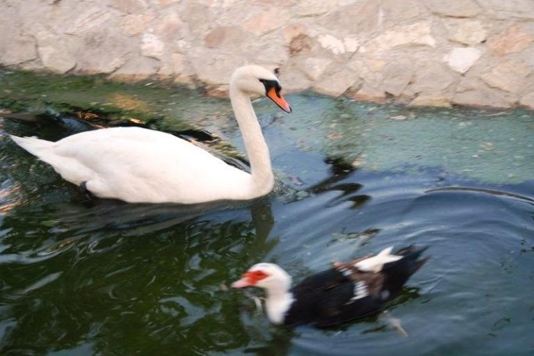 ZOO PARK - ΚΤΗΜΑ ΠΟΛΥΖΩΓΟΠΟΥΛΟΥ - ΠΟΛΥΖΩΓΟΠΟΥΛΟΣ ΠΕΡΙΚΛΗΣ